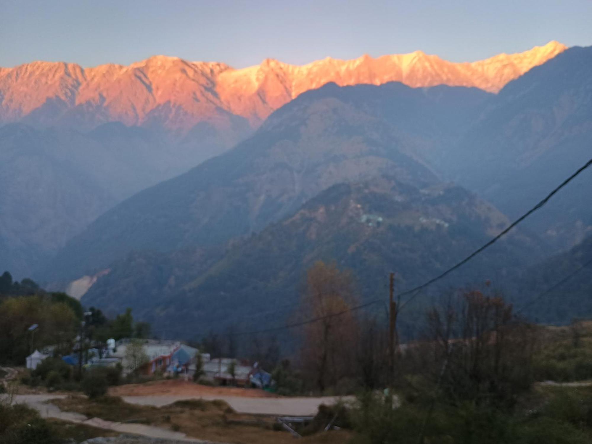 Mcleodganj Diaries Guest House Dharamshala Exteriör bild